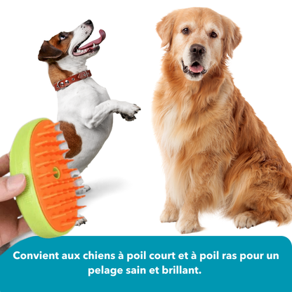 SteamDog - Brosse vapeur pour chien King Shop